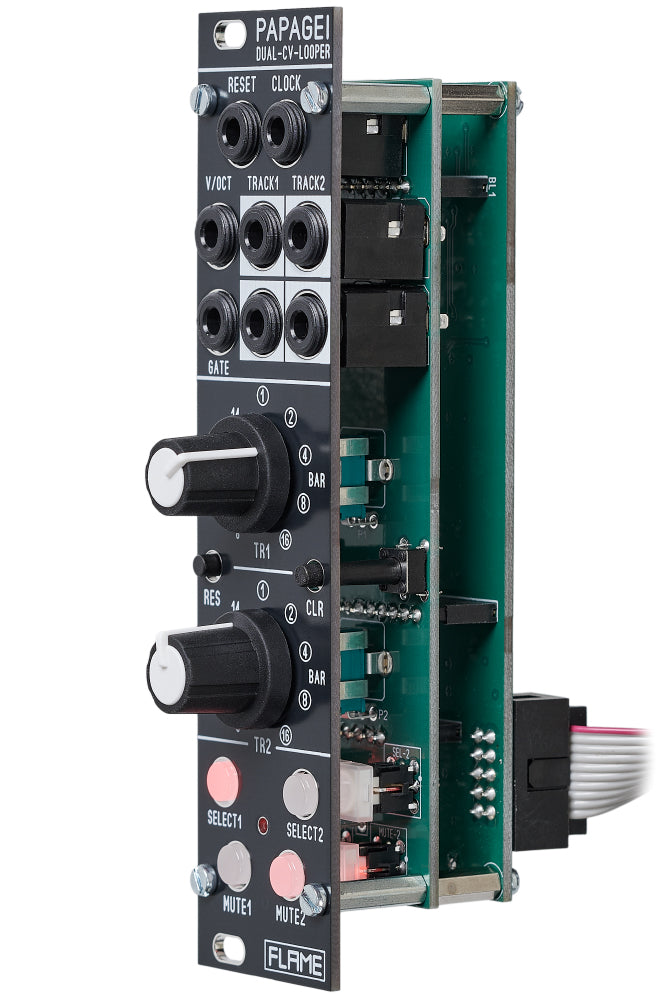 Flame Papagei Dual CV Looper black