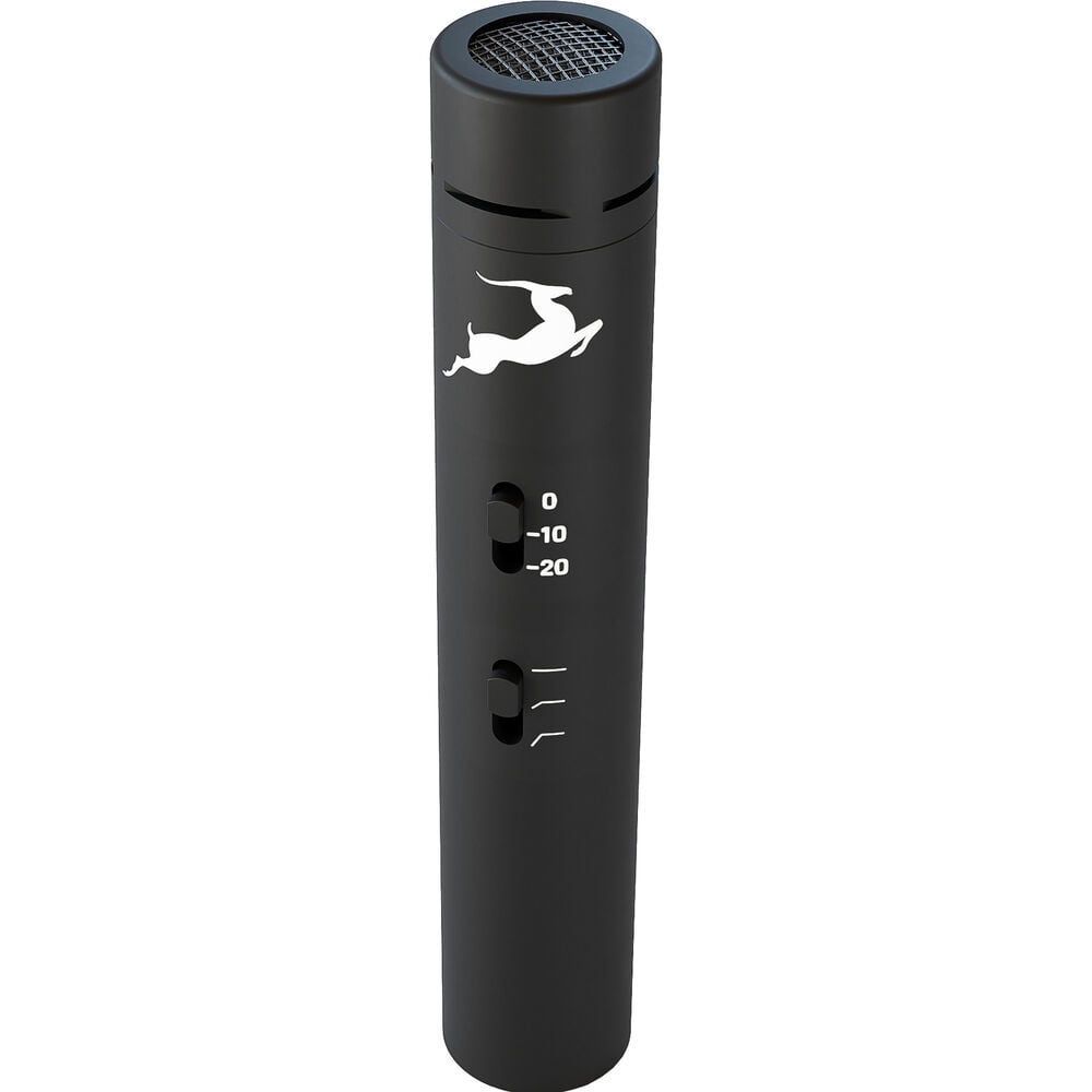Antelope Audio Edge Note