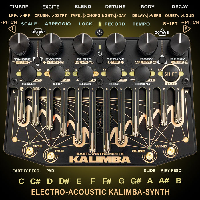 Bastl Instruments Kastle 2 Wave Bard – Volt Music Store
