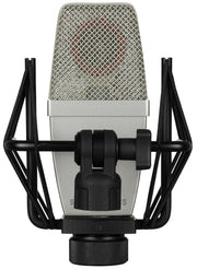 sE Electronics T1(P)