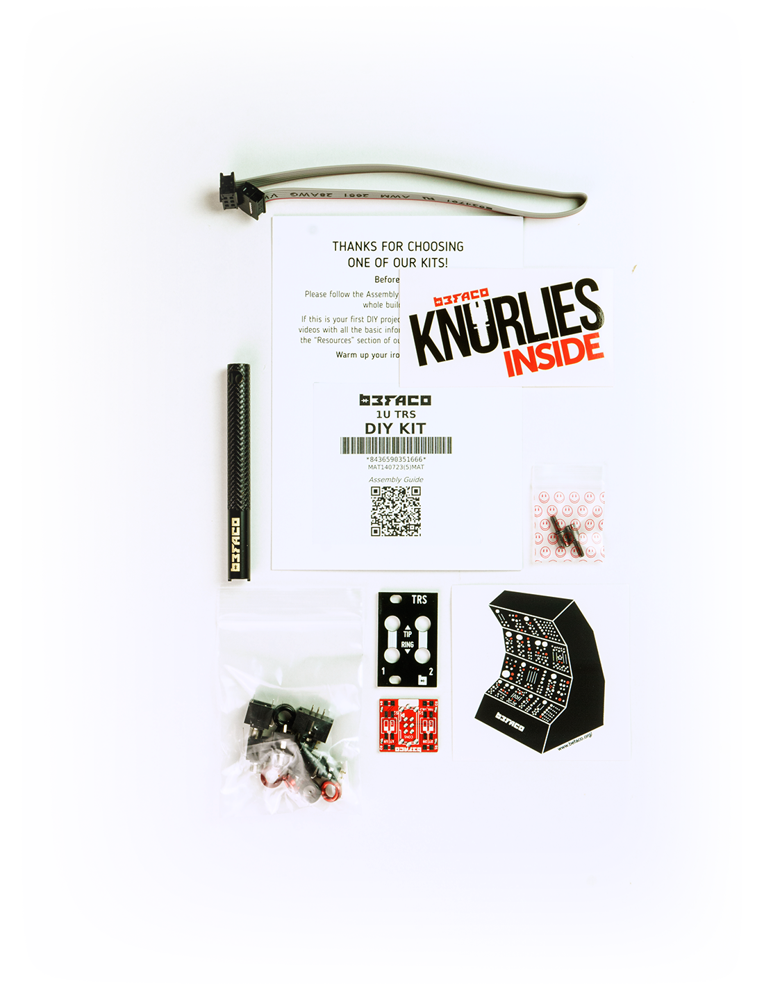 Befaco 1U TRS – DIY Kit
