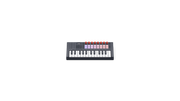 FLKEY 2 mini -25