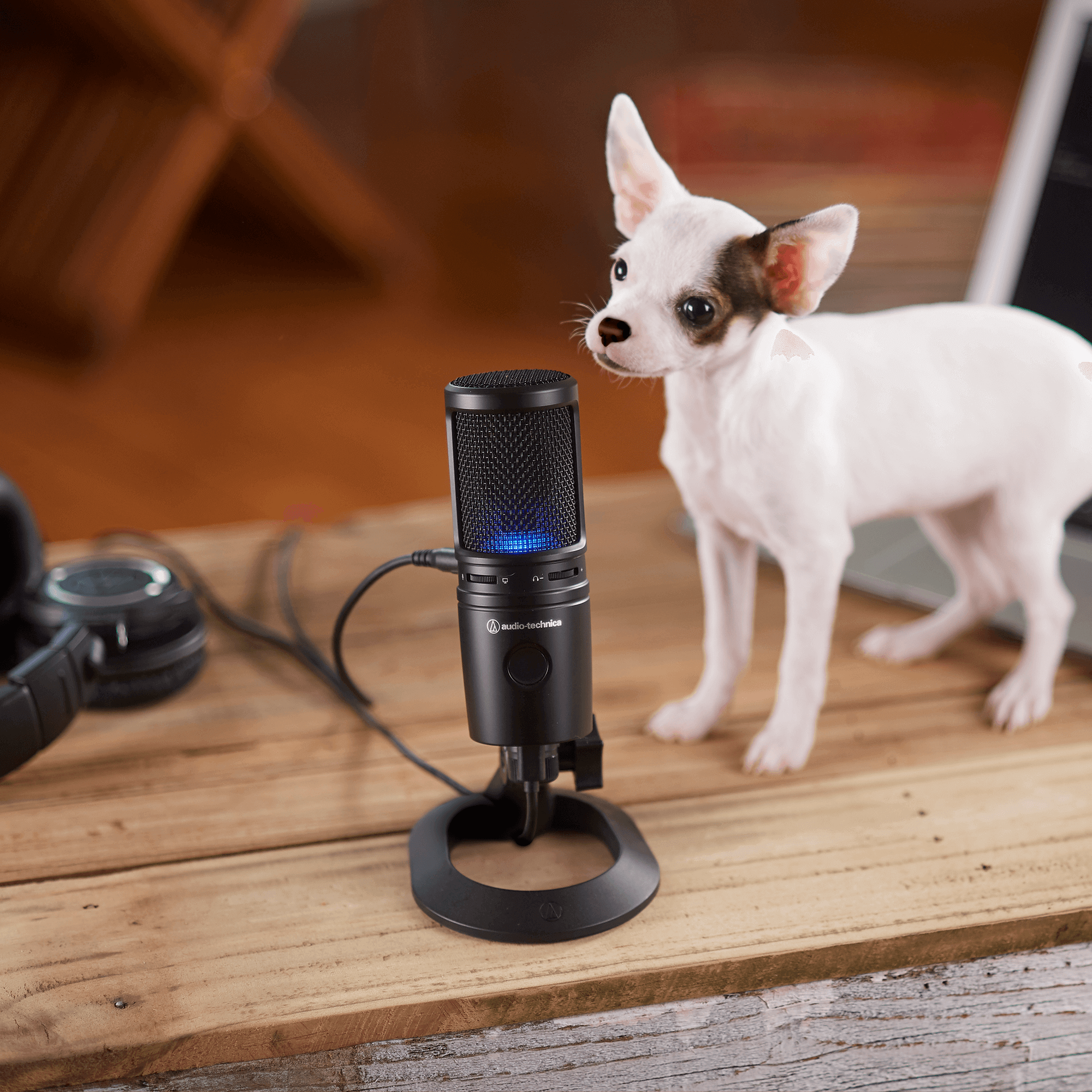 Audio-Technica AT2020USBX