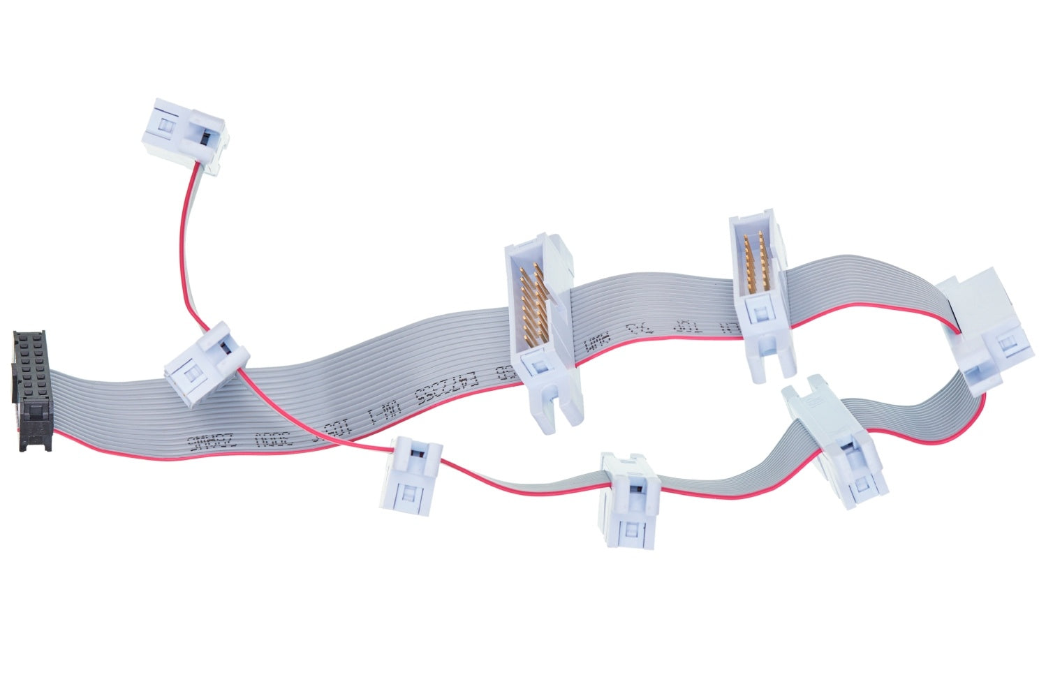 Eowave Flying Bus