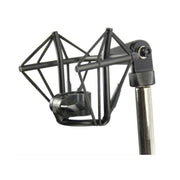 sE Electronics SE4400 Spin