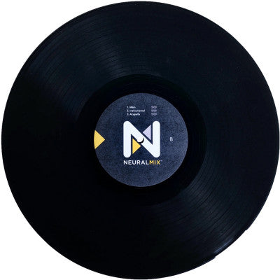 Algoriddim djay PRO AI Control Vinyl (Single)