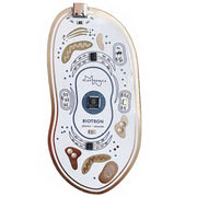 Playtronica Biotron Midi Controller