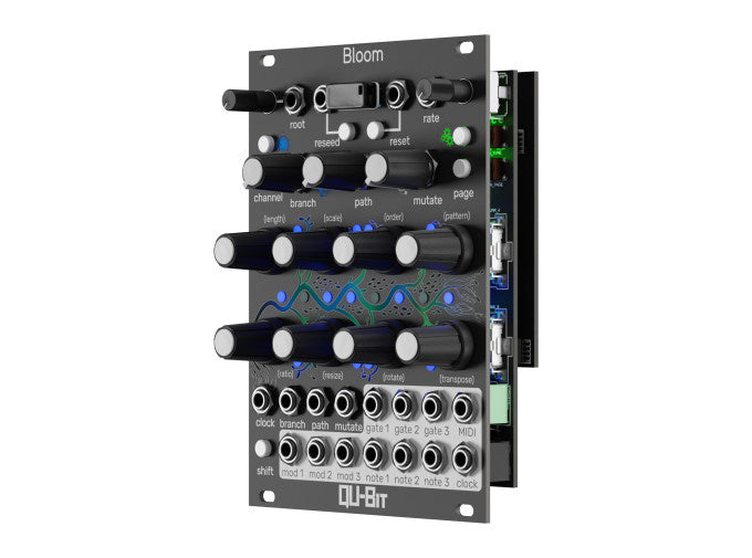 Qu-Bit Bloom V2