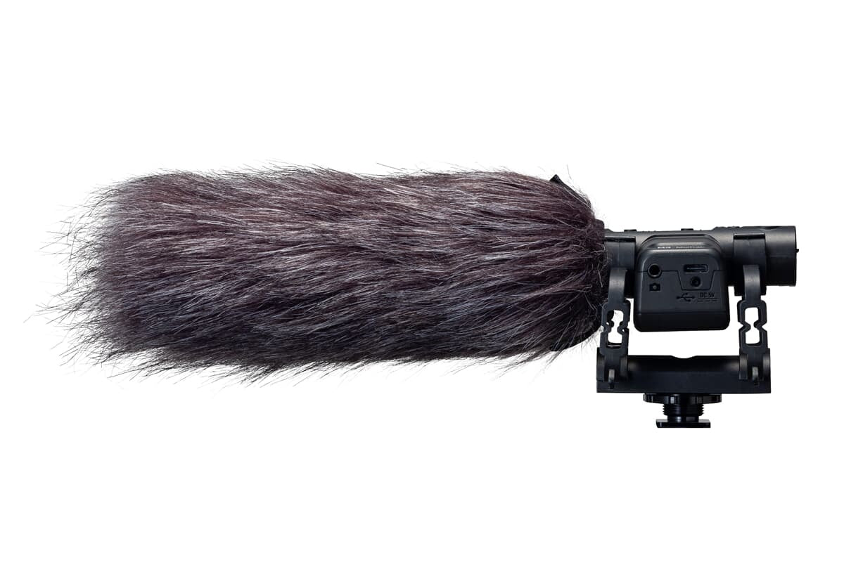 Zoom WSU-2